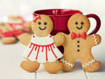 Other Gingerbread Products